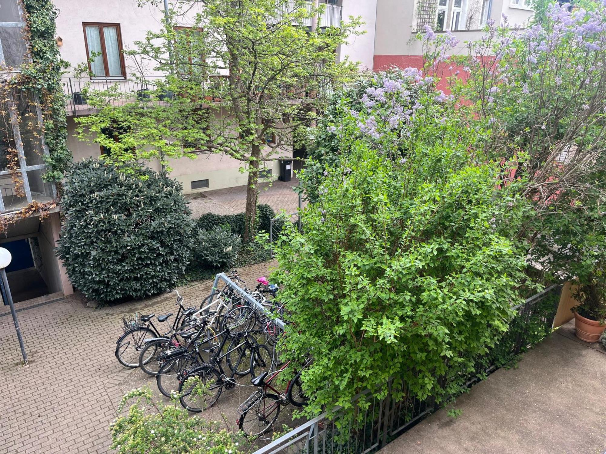Haus Schoenwald Freiburg im Breisgau Exterior photo