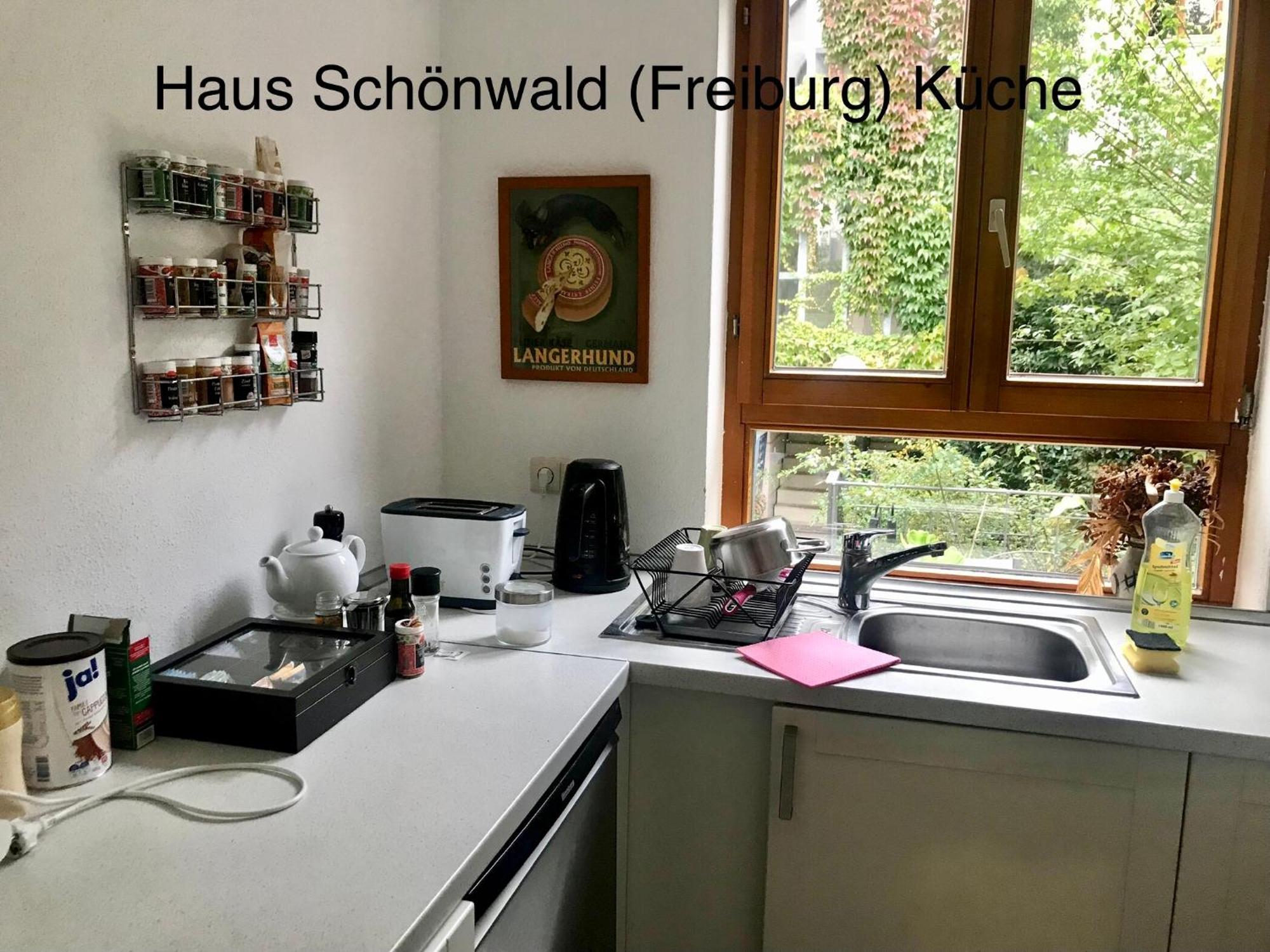 Haus Schoenwald Freiburg im Breisgau Exterior photo